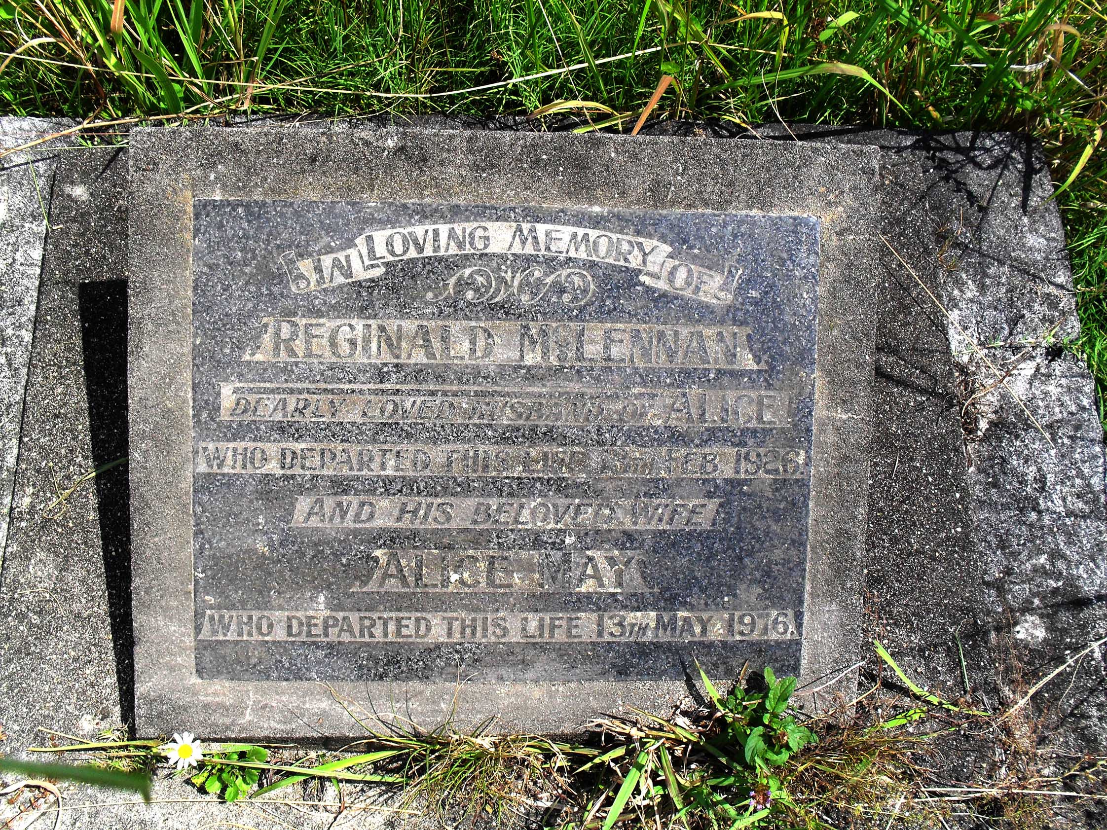 Photo of headstones/Reginald McLennan d1926 hdstn WaikumeteAuck